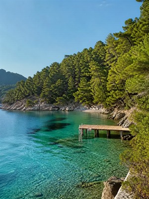 Koy manzarası