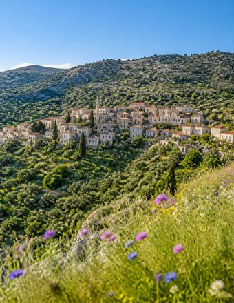 Bağ yolu