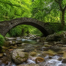 Deniz molası